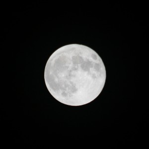 2015-09-28 21.21.45-1